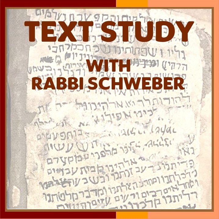 Text Study with Rabbi Schweber