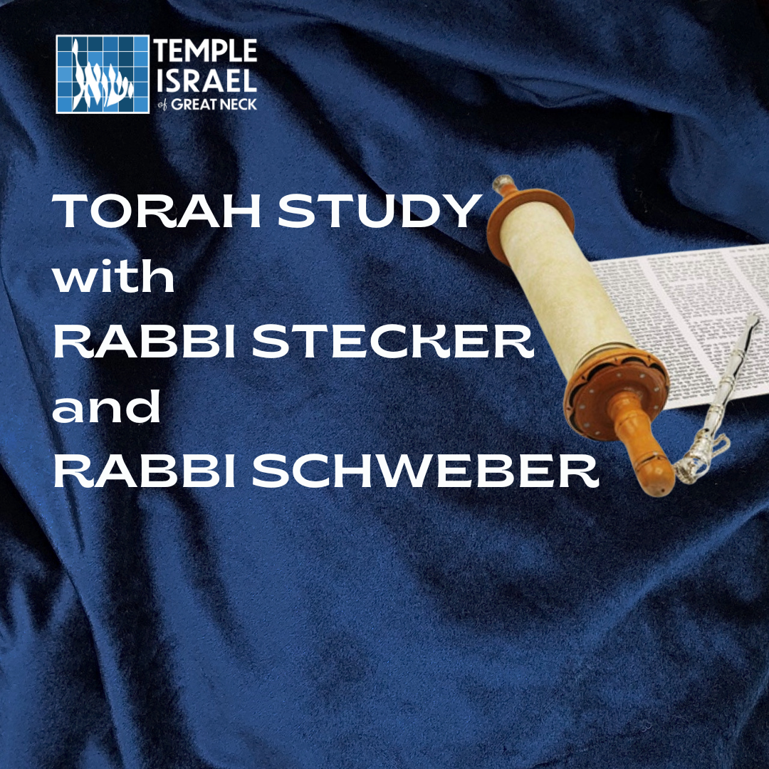 Torah Study with Rabbi Stecker and Rabbi Schweber