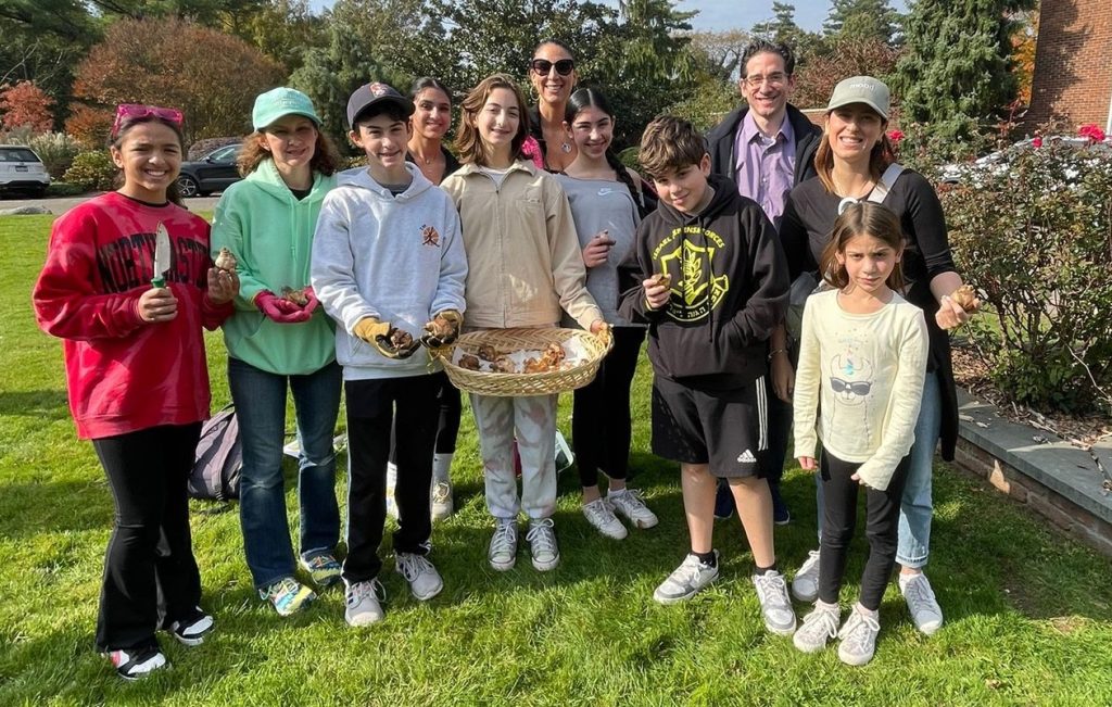 Monthly Volunteering Project