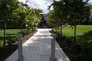 Front Walk Flanked by Crape Myrtle Trees