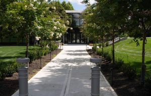 Front Walk Flanked by Crape Myrtle Trees