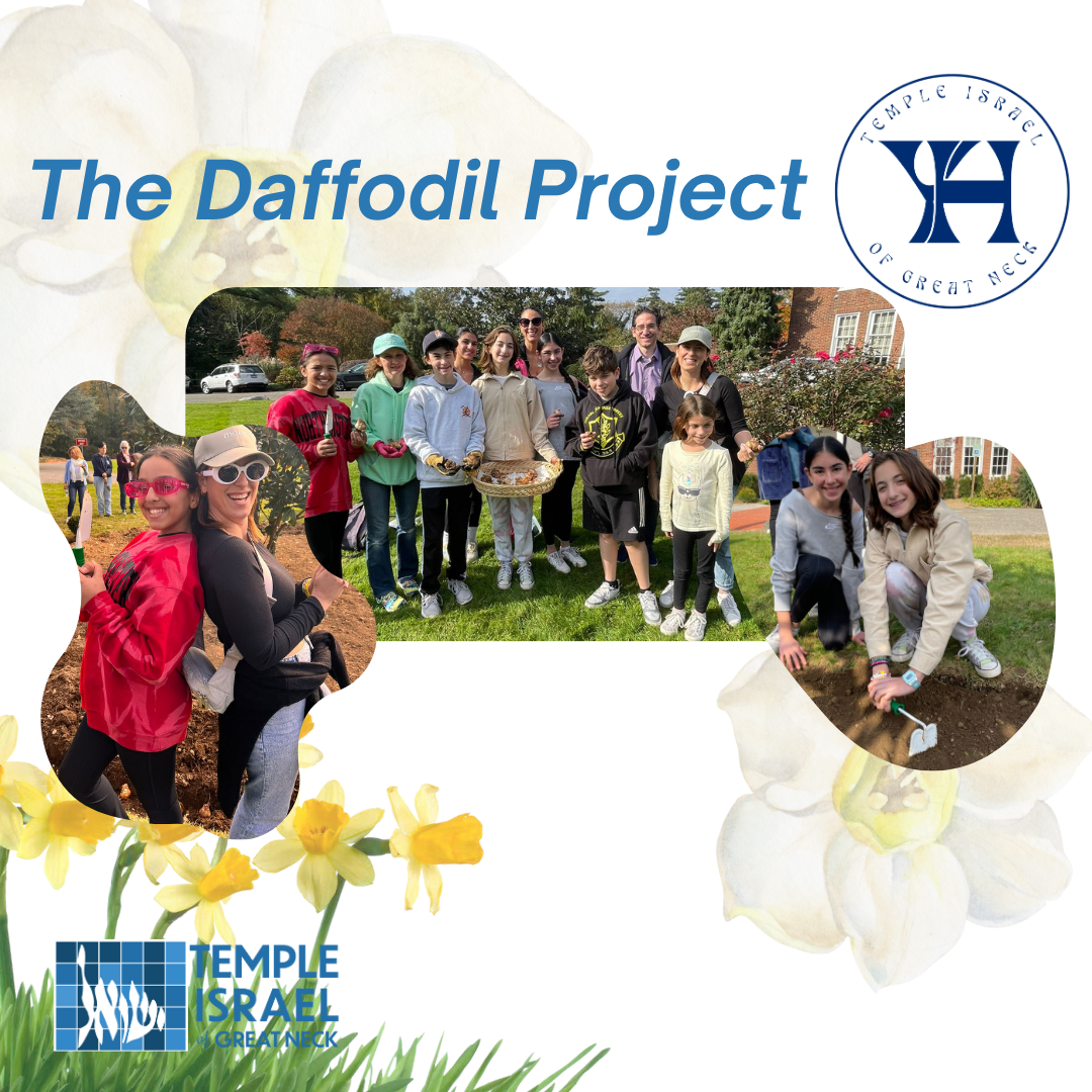 Waxman Youth House - The Daffodil Project